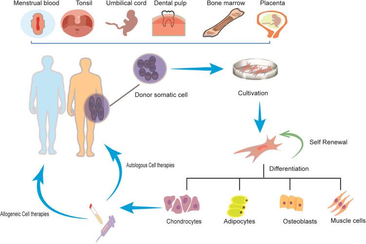 https://cdn.ncbi.nlm.nih.gov/pmc/blobs/a167/11128225/c3e063074002/JIR-17-3307-g0002.jpg