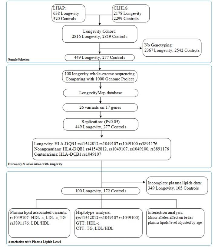 https://cdn.ncbi.nlm.nih.gov/pmc/blobs/a168/5723689/4e30435455ae/aging-09-2316-g001.jpg
