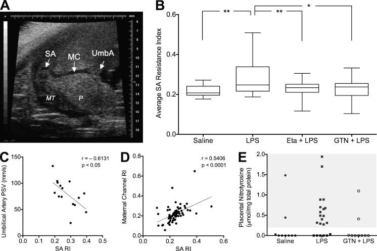 https://cdn.ncbi.nlm.nih.gov/pmc/blobs/a169/3892976/b871780eb85f/JEM_20130295_Fig3.jpg