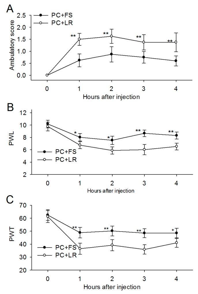 https://cdn.ncbi.nlm.nih.gov/pmc/blobs/a169/5617466/7412241fe1ae/oncotarget-08-61810-g004.jpg