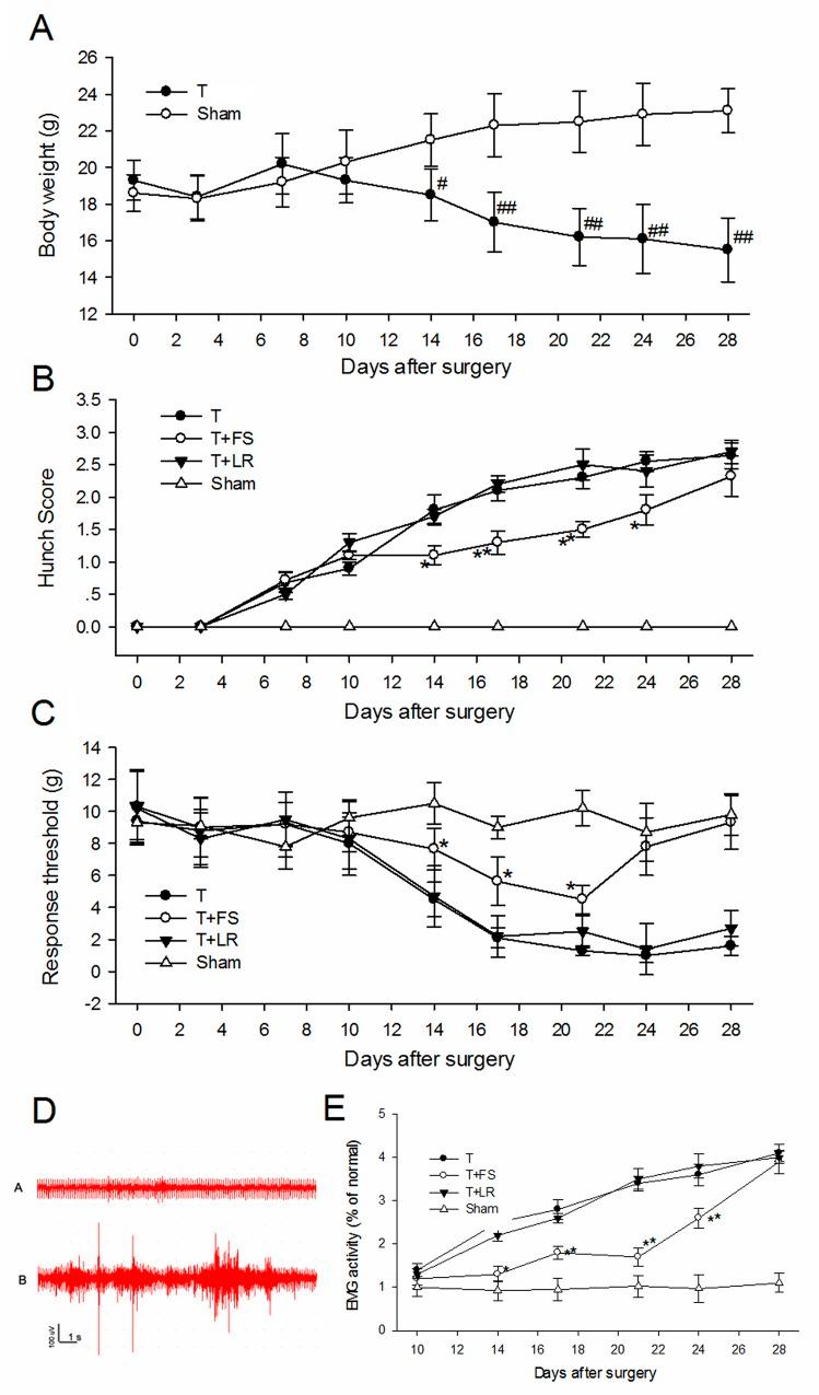 https://cdn.ncbi.nlm.nih.gov/pmc/blobs/a169/5617466/c3aa76245092/oncotarget-08-61810-g009.jpg