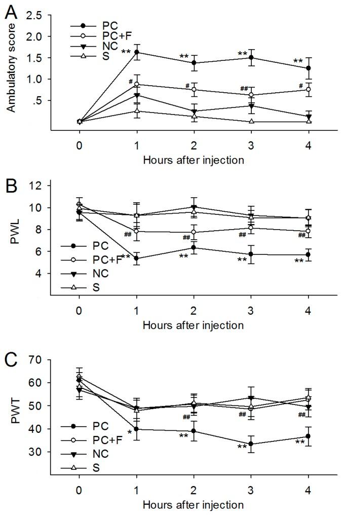 https://cdn.ncbi.nlm.nih.gov/pmc/blobs/a169/5617466/e12b28758ee0/oncotarget-08-61810-g003.jpg