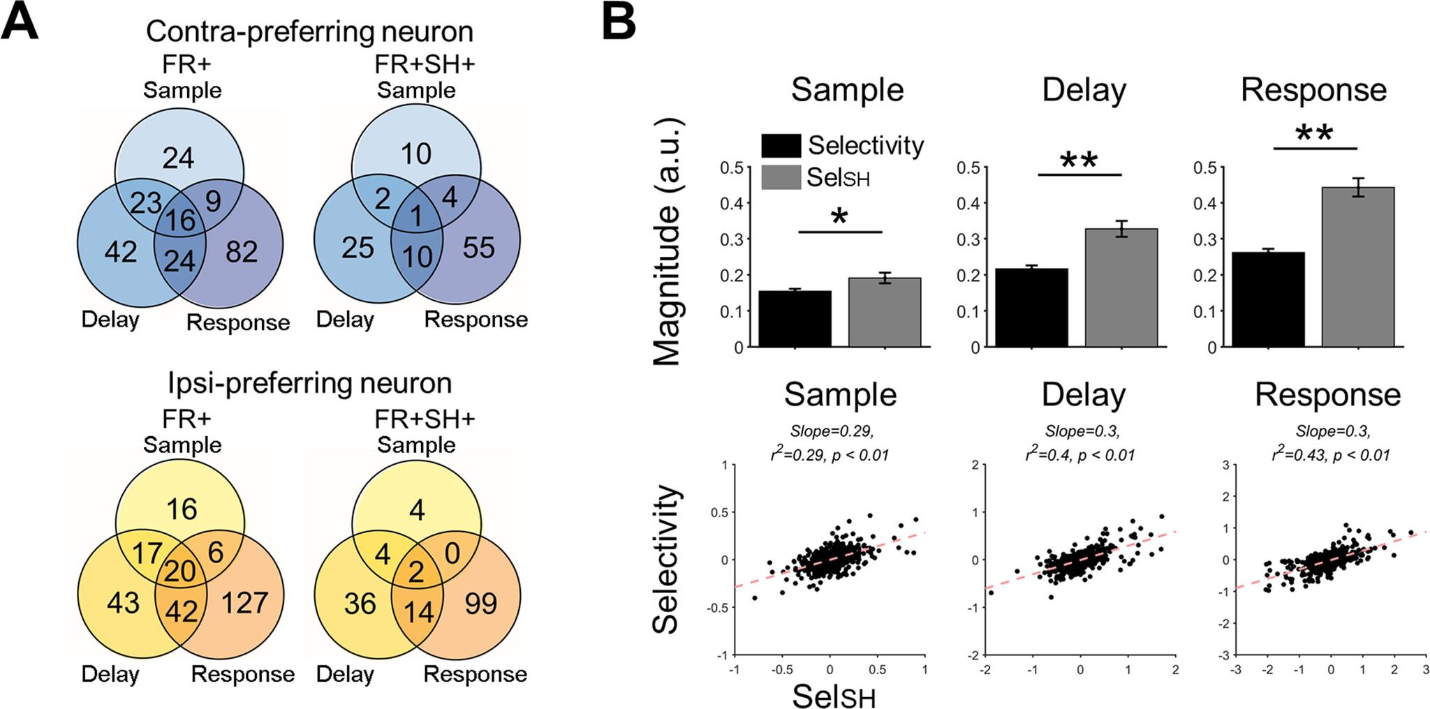 https://cdn.ncbi.nlm.nih.gov/pmc/blobs/a16a/9007410/ee22b625ecdb/ENEURO.0490-21.2022_f005.jpg