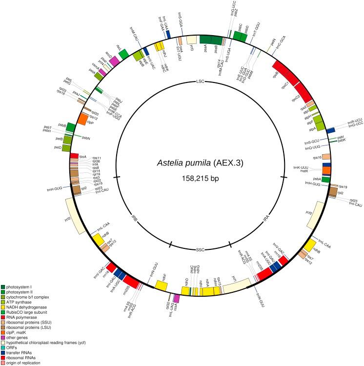 https://cdn.ncbi.nlm.nih.gov/pmc/blobs/a16c/6339776/204a7d066cee/peerj-07-6244-g001.jpg