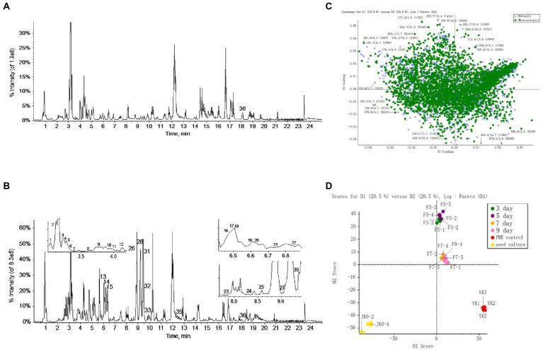 https://cdn.ncbi.nlm.nih.gov/pmc/blobs/a16c/9800501/e3b77104e0ca/fmicb-13-992318-g004.jpg