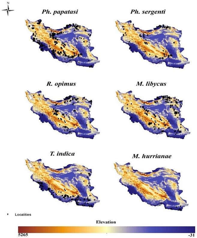 https://cdn.ncbi.nlm.nih.gov/pmc/blobs/a16e/10352301/066a889c3c4a/41598_2023_38515_Fig6_HTML.jpg