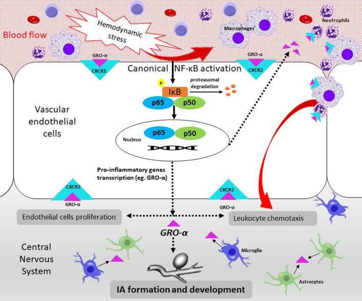 https://cdn.ncbi.nlm.nih.gov/pmc/blobs/a16e/9734124/f11b34688205/41598_2022_25855_Fig5_HTML.jpg