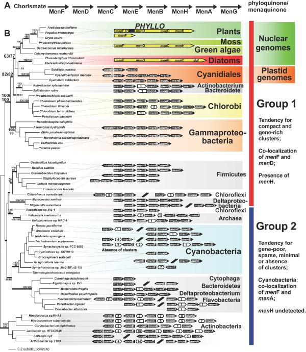 https://cdn.ncbi.nlm.nih.gov/pmc/blobs/a16f/2412073/5cfac99df384/1471-2148-8-117-1.jpg