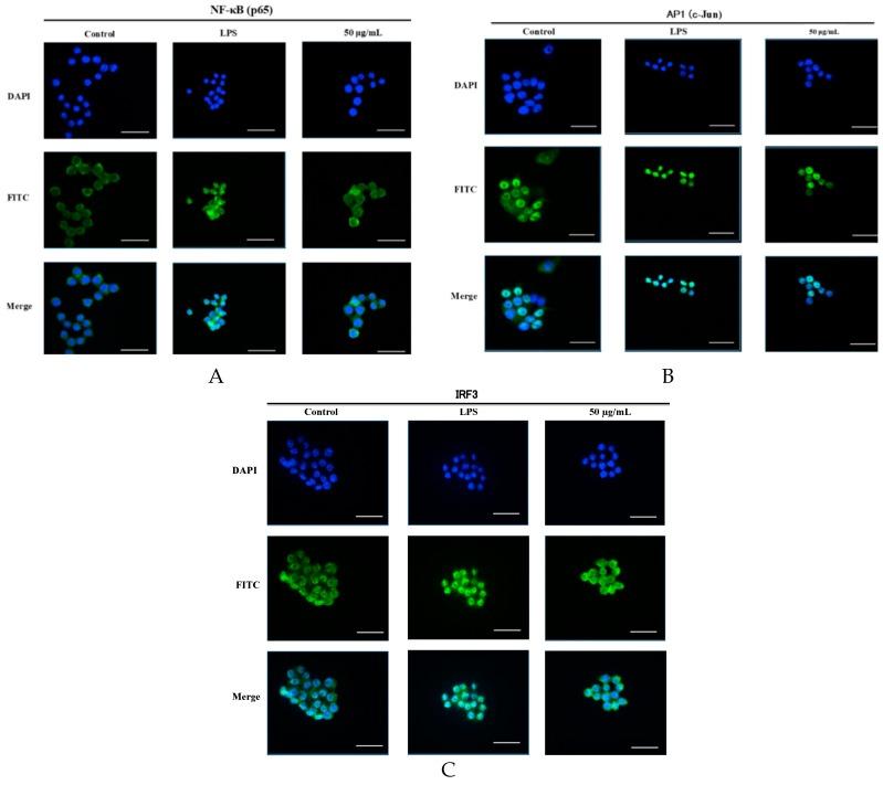 https://cdn.ncbi.nlm.nih.gov/pmc/blobs/a170/6320760/5b4a2d13b220/molecules-23-03319-g008.jpg