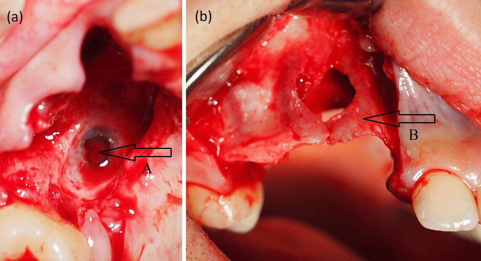 https://cdn.ncbi.nlm.nih.gov/pmc/blobs/a174/7648304/4ff32ce1c37d/12903_2020_1291_Fig3_HTML.jpg