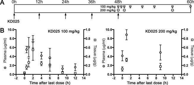 https://cdn.ncbi.nlm.nih.gov/pmc/blobs/a175/4207498/24e7f77b83ca/acn30001-0002-f2.jpg