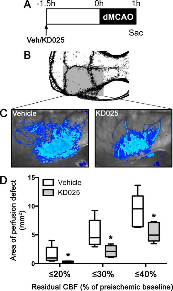 https://cdn.ncbi.nlm.nih.gov/pmc/blobs/a175/4207498/9313d18cff1e/acn30001-0002-f4.jpg
