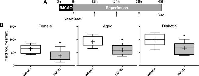 https://cdn.ncbi.nlm.nih.gov/pmc/blobs/a175/4207498/ae87a7dd6a1e/acn30001-0002-f7.jpg