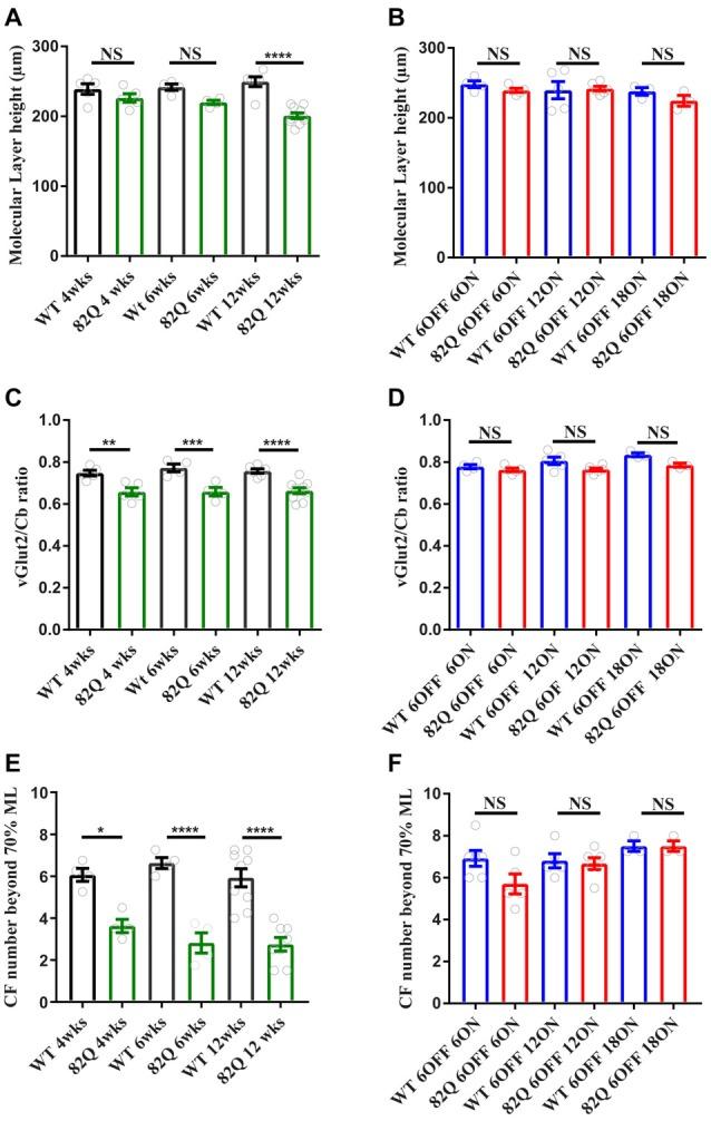 https://cdn.ncbi.nlm.nih.gov/pmc/blobs/a175/5611386/d47340f6508b/fncel-11-00292-g0002.jpg