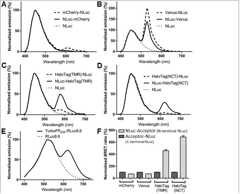 https://cdn.ncbi.nlm.nih.gov/pmc/blobs/a176/7772631/918ac46e2993/gr1.jpg