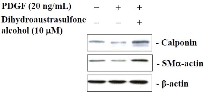 https://cdn.ncbi.nlm.nih.gov/pmc/blobs/a177/4413217/2b1689df829c/marinedrugs-13-02390-g007.jpg