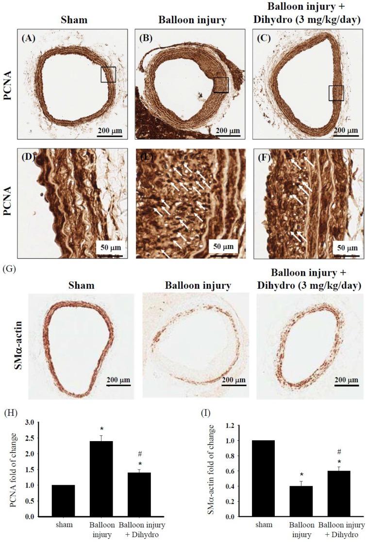 https://cdn.ncbi.nlm.nih.gov/pmc/blobs/a177/4413217/4feba183ff97/marinedrugs-13-02390-g008.jpg