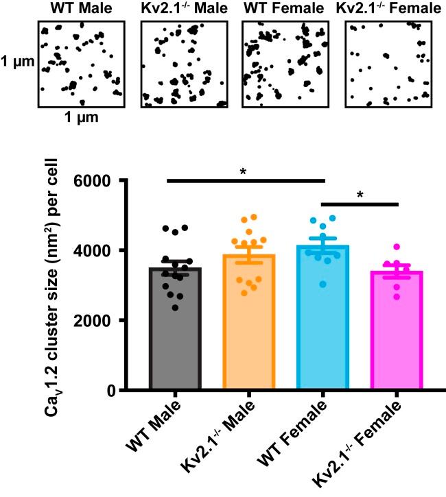 https://cdn.ncbi.nlm.nih.gov/pmc/blobs/a177/7035623/1570d43c5c1d/pnas.1917879117fig06.jpg