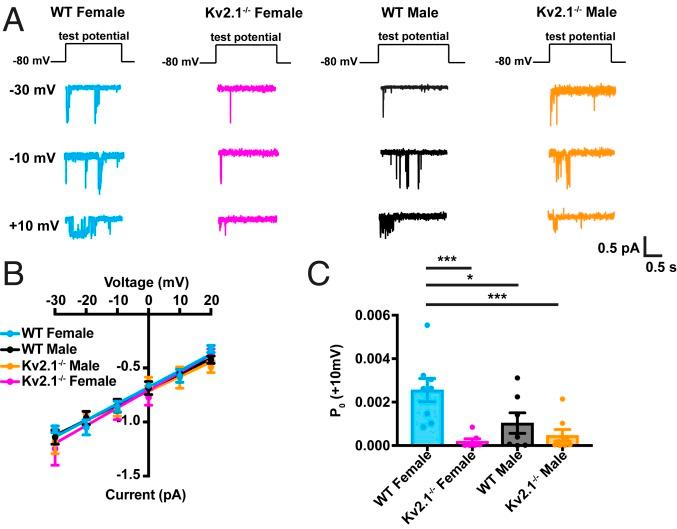 https://cdn.ncbi.nlm.nih.gov/pmc/blobs/a177/7035623/b8aff7594db3/pnas.1917879117fig05.jpg