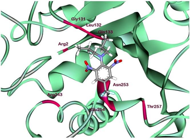 https://cdn.ncbi.nlm.nih.gov/pmc/blobs/a178/5810296/41e47ca7719a/fpls-09-00097-g006.jpg