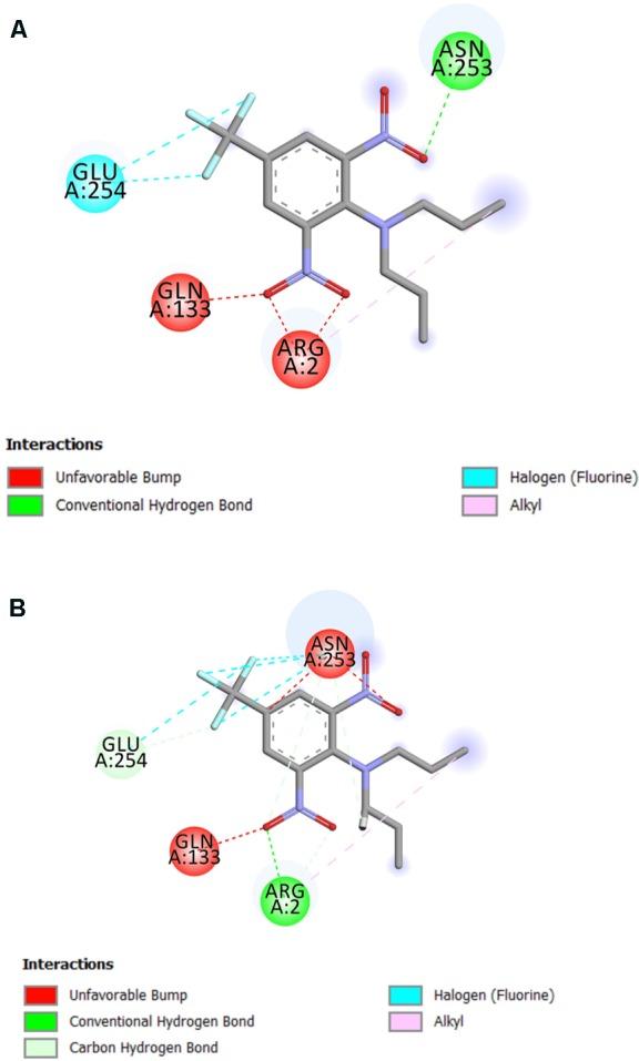 https://cdn.ncbi.nlm.nih.gov/pmc/blobs/a178/5810296/557476eae8cc/fpls-09-00097-g011.jpg