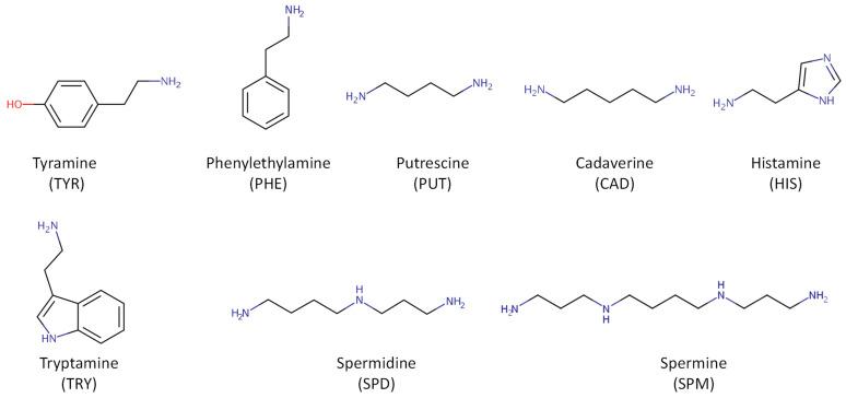 https://cdn.ncbi.nlm.nih.gov/pmc/blobs/a17a/11171931/99b324759b16/foods-13-01709-g002.jpg