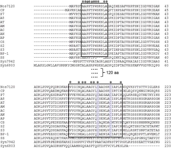 https://cdn.ncbi.nlm.nih.gov/pmc/blobs/a17b/5472144/0604efbb57ea/gr4.jpg