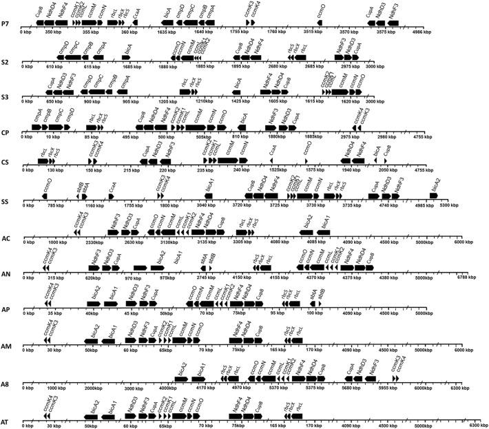 https://cdn.ncbi.nlm.nih.gov/pmc/blobs/a17b/5472144/21f0755b9fc7/gr2.jpg