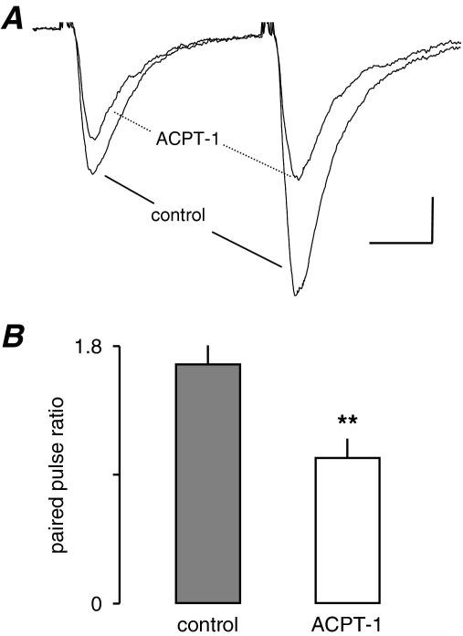 https://cdn.ncbi.nlm.nih.gov/pmc/blobs/a17d/2809912/70a55856c57d/gr5.jpg