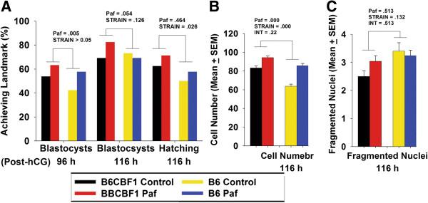 https://cdn.ncbi.nlm.nih.gov/pmc/blobs/a17e/4036297/f7ff168bd865/1477-7827-12-35-7.jpg