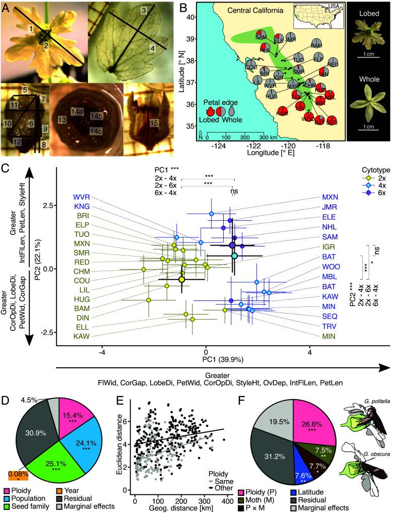 https://cdn.ncbi.nlm.nih.gov/pmc/blobs/a17f/12377753/e7fdf16be4a2/pnas.2505119122fig02.jpg
