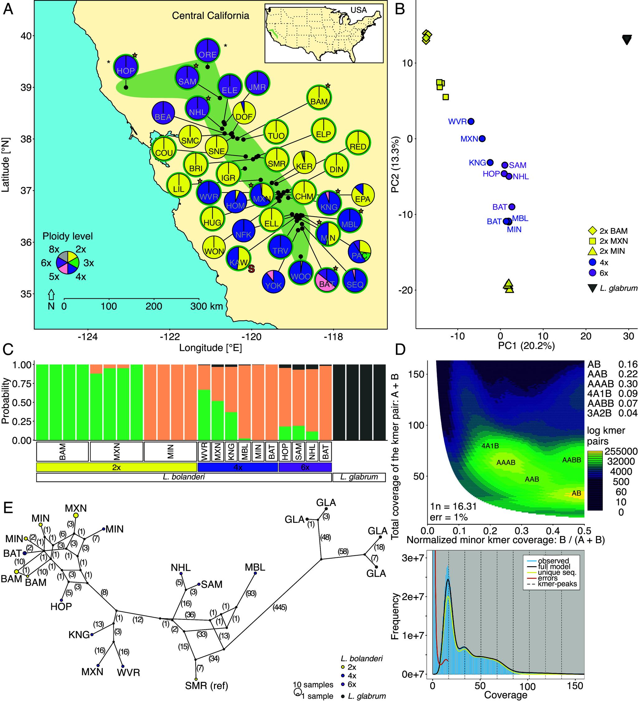 https://cdn.ncbi.nlm.nih.gov/pmc/blobs/a17f/12377753/f238b75ed336/pnas.2505119122fig01.jpg