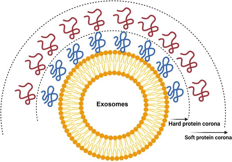 https://cdn.ncbi.nlm.nih.gov/pmc/blobs/a180/10041760/6c4a88581a3f/12964_2023_1089_Fig1_HTML.jpg
