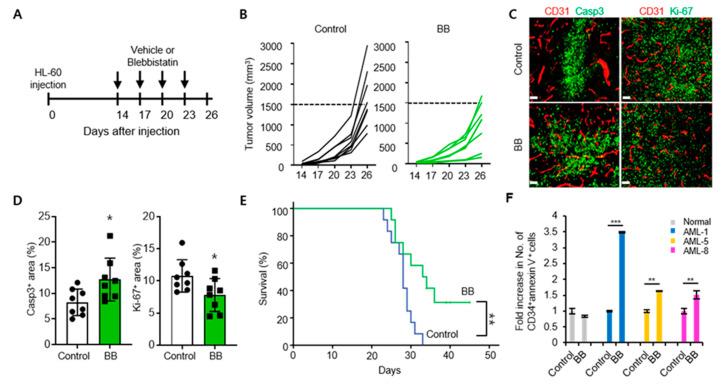 https://cdn.ncbi.nlm.nih.gov/pmc/blobs/a180/7279019/5d901859c393/ijms-21-03460-g004.jpg