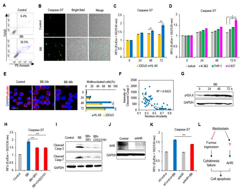 https://cdn.ncbi.nlm.nih.gov/pmc/blobs/a180/7279019/f4a7d0b34684/ijms-21-03460-g002.jpg