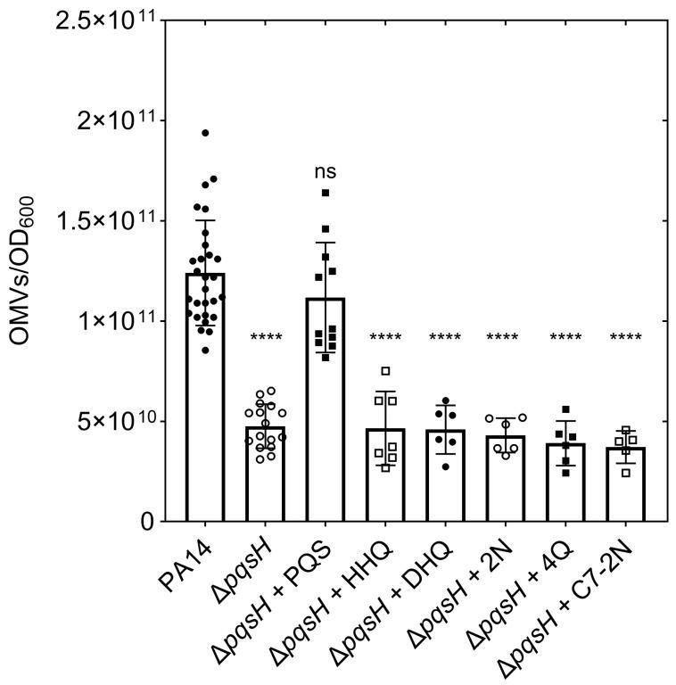https://cdn.ncbi.nlm.nih.gov/pmc/blobs/a181/12388362/228a37b59801/membranes-15-00247-g003.jpg