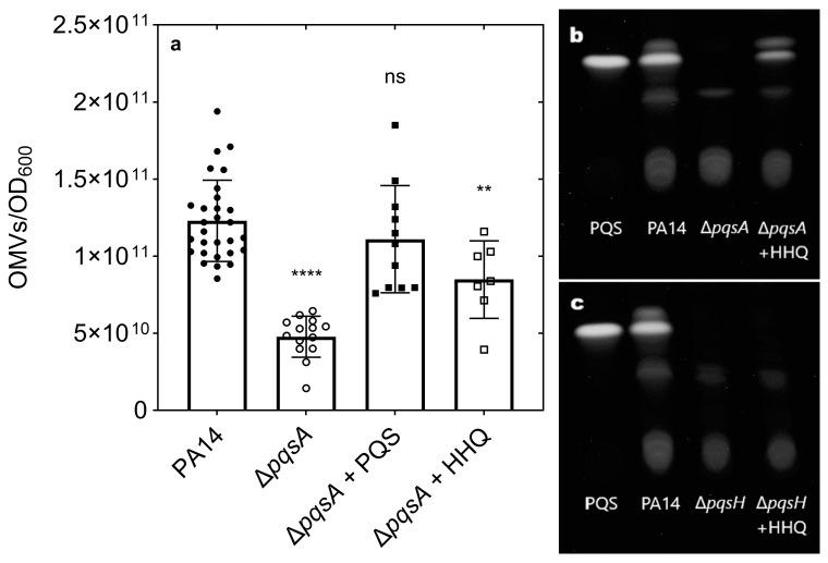 https://cdn.ncbi.nlm.nih.gov/pmc/blobs/a181/12388362/603690a6e1e9/membranes-15-00247-g002.jpg