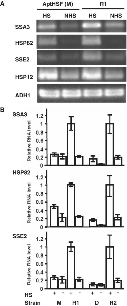 https://cdn.ncbi.nlm.nih.gov/pmc/blobs/a184/2926621/41c5821c859d/gkq529f4.jpg