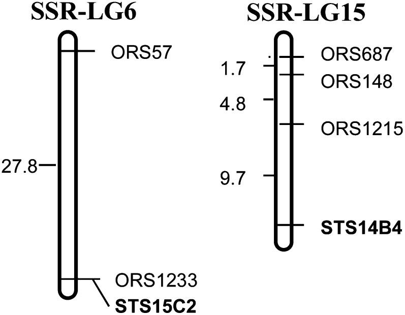 https://cdn.ncbi.nlm.nih.gov/pmc/blobs/a186/3538341/7141fc840cf1/31f3.jpg