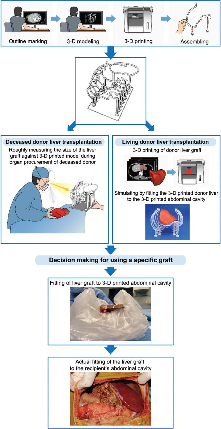 https://cdn.ncbi.nlm.nih.gov/pmc/blobs/a189/9668574/fee2ef429236/IJB-8-4-609-g002.jpg