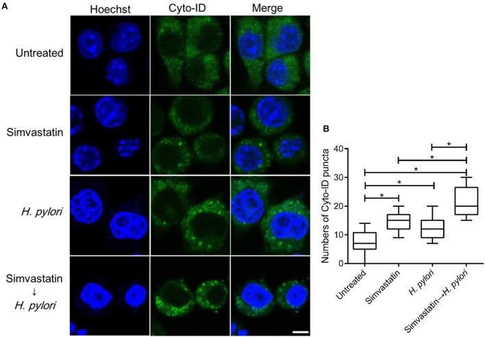 https://cdn.ncbi.nlm.nih.gov/pmc/blobs/a18a/5239775/bc6461fc1c84/fcimb-06-00203-g0003.jpg