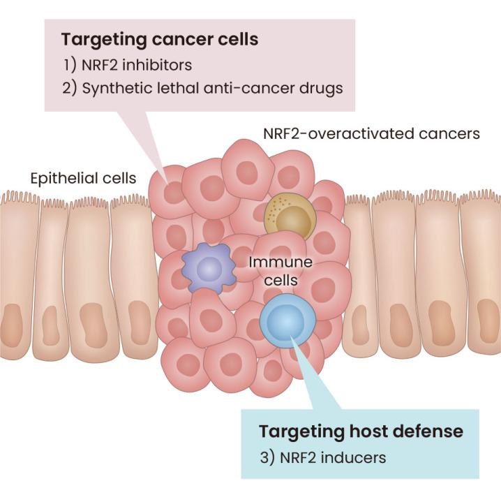 https://cdn.ncbi.nlm.nih.gov/pmc/blobs/a18b/10070164/b6484c50678c/molce-46-3-133-f1.jpg
