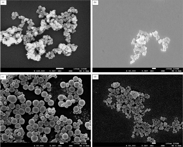 https://cdn.ncbi.nlm.nih.gov/pmc/blobs/a18b/6529720/56c5b03e7084/gr2.jpg