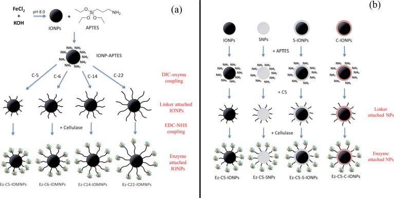 https://cdn.ncbi.nlm.nih.gov/pmc/blobs/a18b/6529720/ba5629feb19b/gr1.jpg