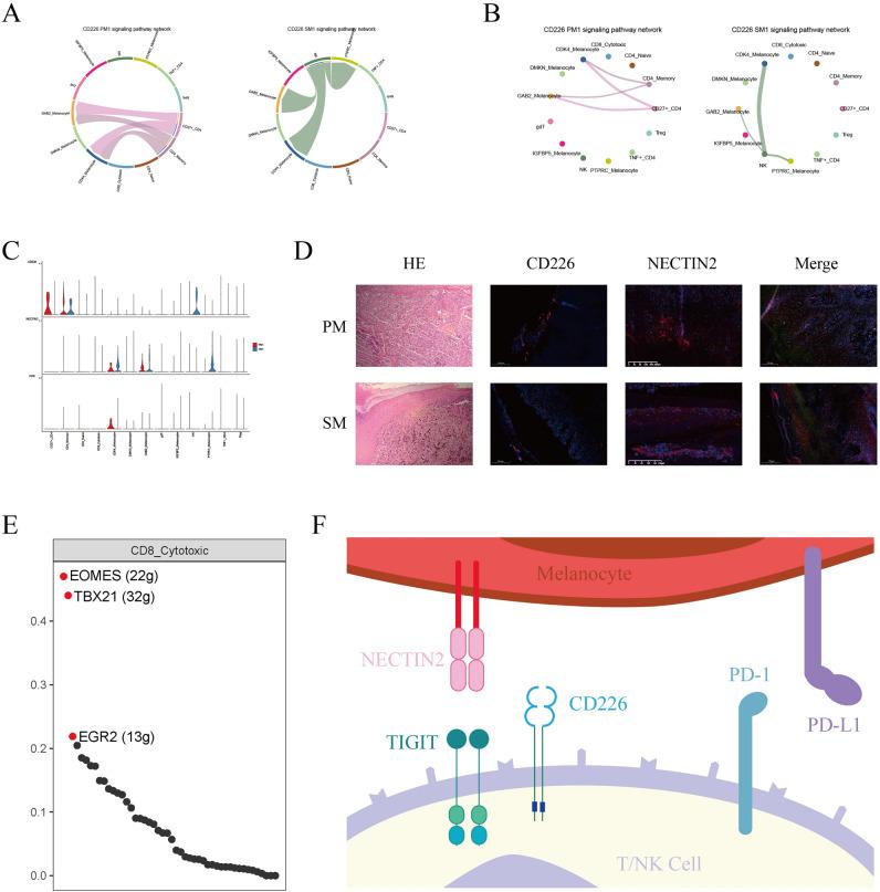 https://cdn.ncbi.nlm.nih.gov/pmc/blobs/a18c/10963724/0662414e9bf8/41598_2024_57640_Fig6_HTML.jpg