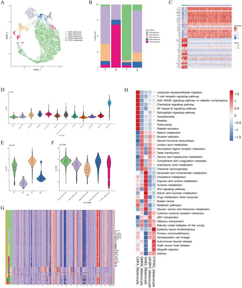 https://cdn.ncbi.nlm.nih.gov/pmc/blobs/a18c/10963724/b1f413e97dc8/41598_2024_57640_Fig2_HTML.jpg