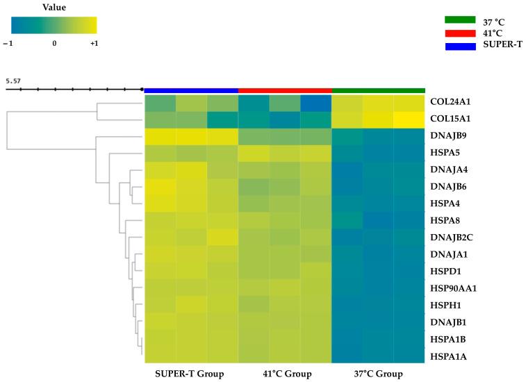 https://cdn.ncbi.nlm.nih.gov/pmc/blobs/a18f/12298724/677082b12687/microorganisms-13-01569-g004.jpg