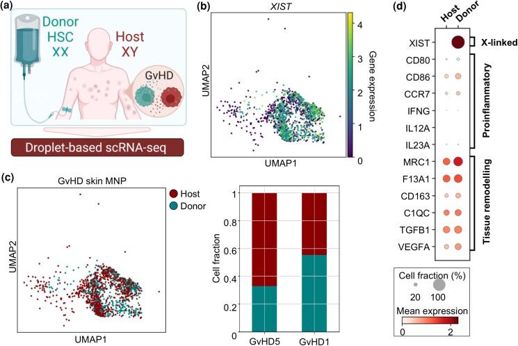 https://cdn.ncbi.nlm.nih.gov/pmc/blobs/a191/10873647/498404b4d508/ljad402f5.jpg