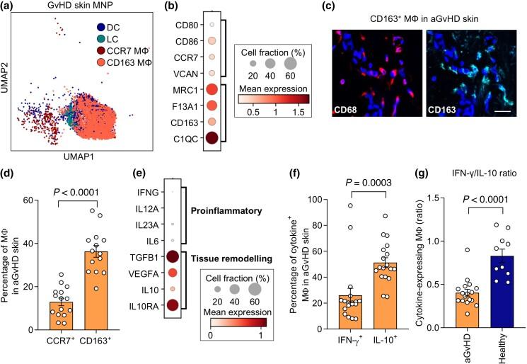 https://cdn.ncbi.nlm.nih.gov/pmc/blobs/a191/10873647/785bdddf793f/ljad402f3.jpg