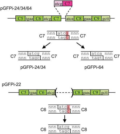 https://cdn.ncbi.nlm.nih.gov/pmc/blobs/a191/2677662/67861a26dd49/pone.0005553.g003.jpg